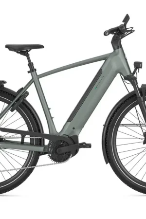 GAZELLE ULTIMATE T11 H61 905 S11 HMB (M) Gereduceerde Prijs