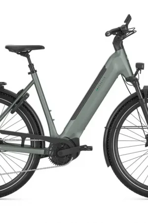 Populair GAZELLE ULTIMATE T11 L46 905 S11 HMB (M)