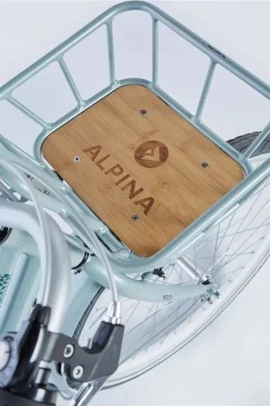 Koop Vandaag ALPINA Alpina voordragermand Mood silt green matt