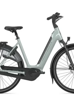 GAZELLE GRENOBLE C8 HMB L53 Light olive S8 Finale Uitverkoop