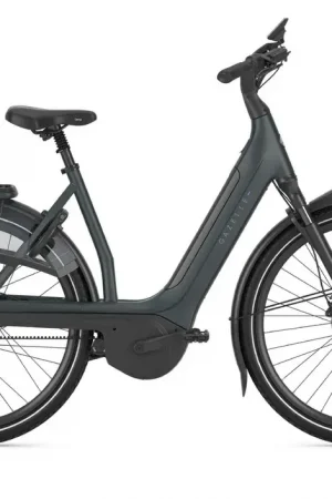 Beperkte Voorraad GAZELLE AVIGNON C380 L65 899 SE HMB (M)