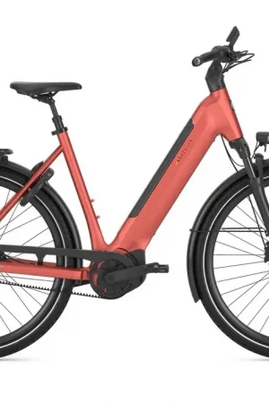 Betaalbaar GAZELLE ULTIMATE C5+ L49 906 S5 HMB (M)